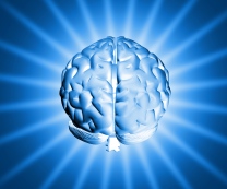 shiny-brain-1150907-1